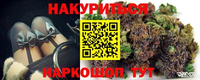 прущие грибы Краснокаменск