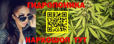 прущие грибы Краснокаменск