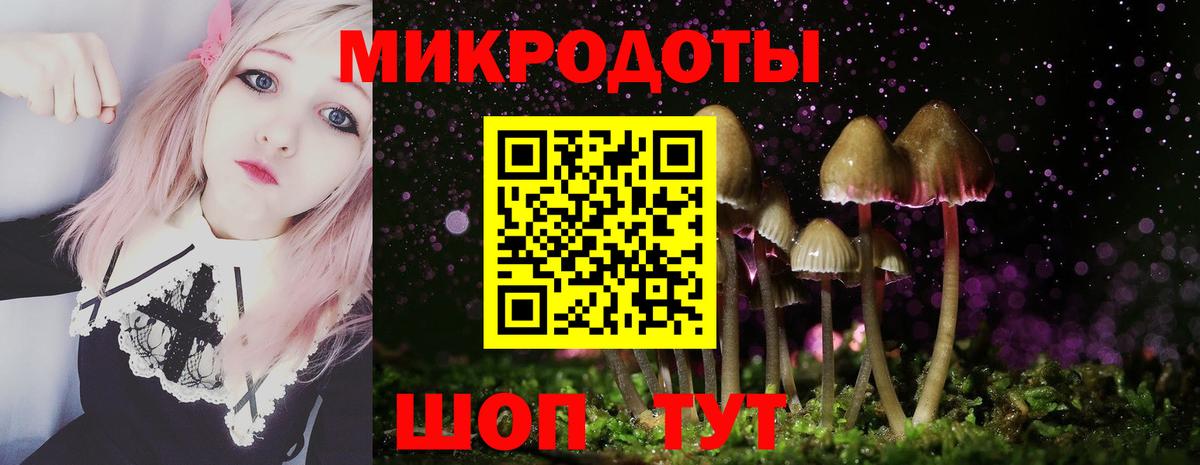 Псилоцибиновые грибы GOLDEN TEACHER Златоуст