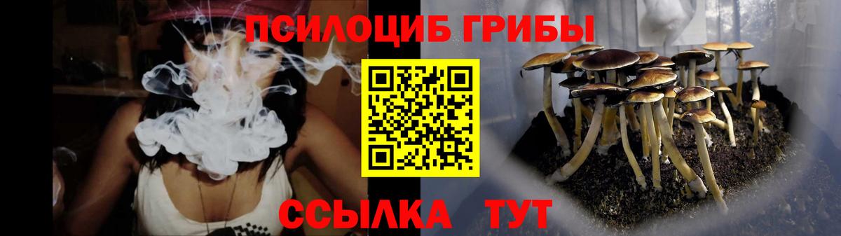 Псилоцибиновые грибы мухоморы  Вход с VPN  Златоуст 
